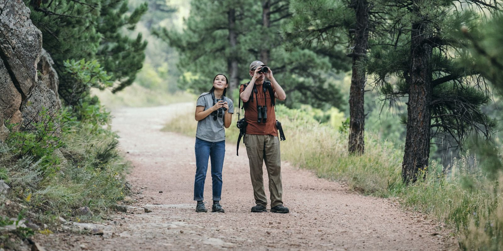 Choosing the Right Optics for Birding