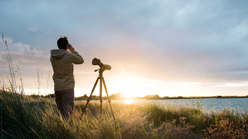 All about Digiscoping