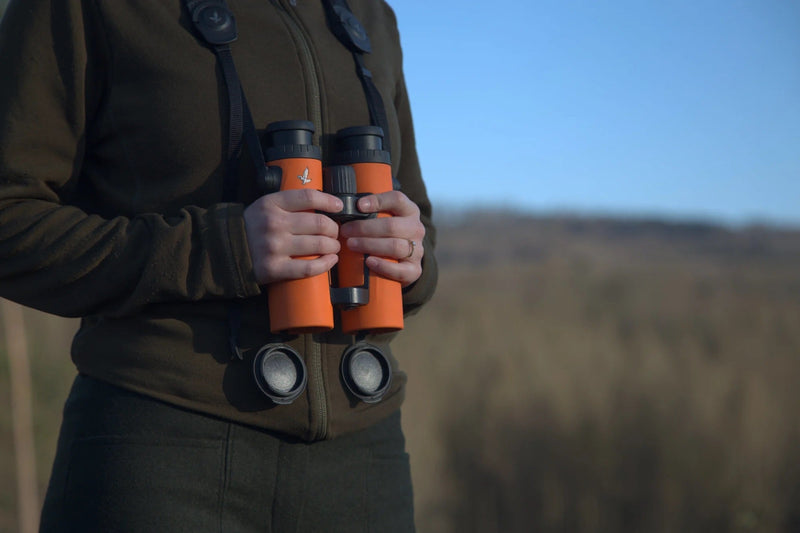 Understanding Optics: A Guide