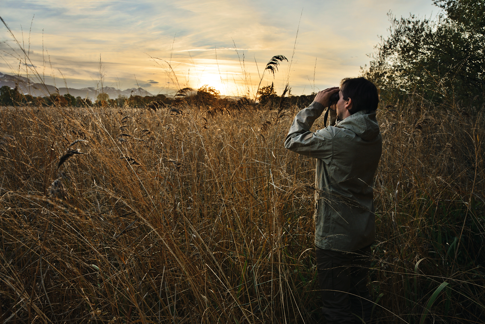 SWAROVSKI SLC-15x56. Available at the local store the Lookout, is located in Prescott, AZ.