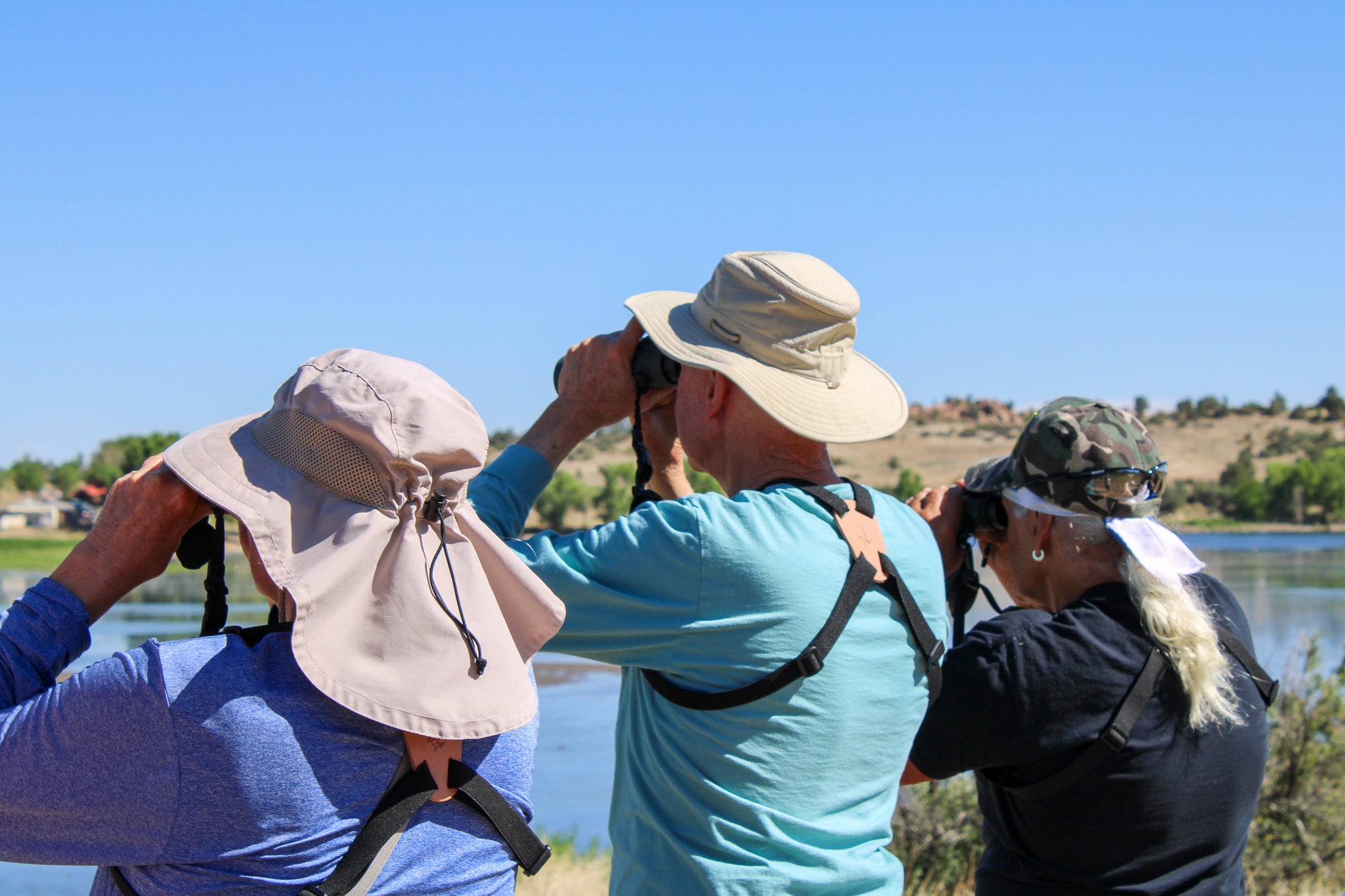 Local birding experts in Prescott, Arizona at the Lookout.